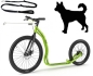 Mobile Preview: Yedoo Trexx DISC DOG SET SPECIAL EDITION GREEN