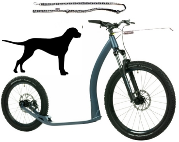 Crussis CROSS DOG Federgabel 6.2-2 metalblue mit Antenne und Leine
