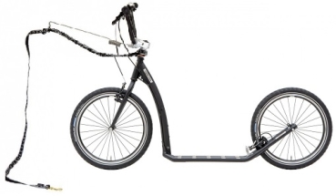 Kostka Twenty Max (G6) satin grey DOG Scooter SPEZIAL