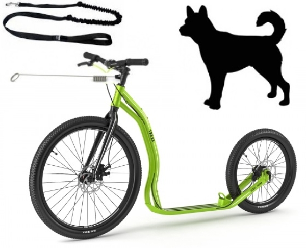 Yedoo Trexx DISC DOG SET SPECIAL EDITION GREEN